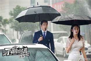 不期而遇在线观看,邂逅美好瞬间的浪漫之旅